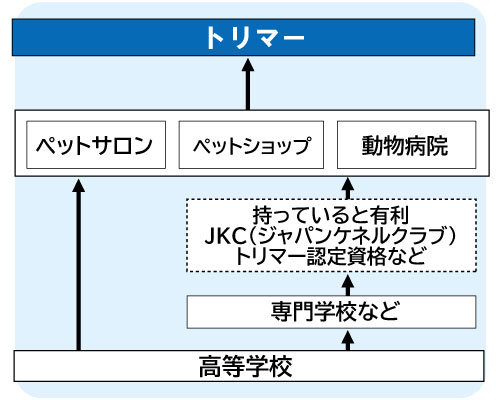 コンピュータゲーム