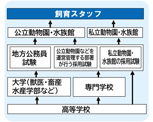 コンピュータゲーム