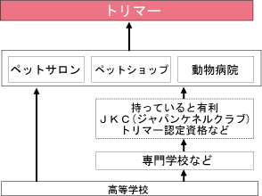 図