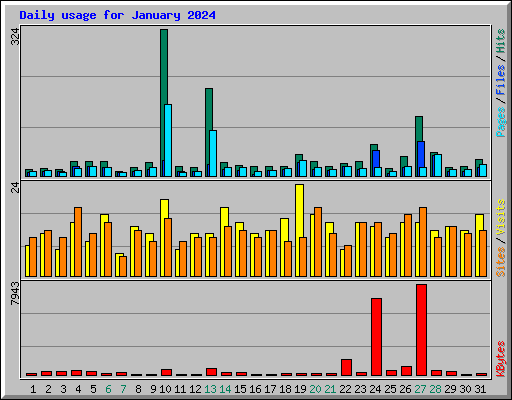 Daily usage for January 2024