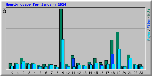 Hourly usage for January 2024