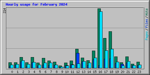 Hourly usage for February 2024