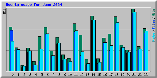 Hourly usage for June 2024