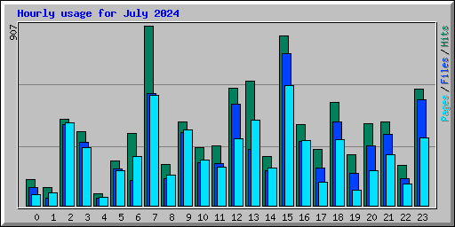 Hourly usage for July 2024