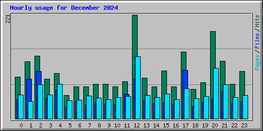 Hourly usage for December 2024