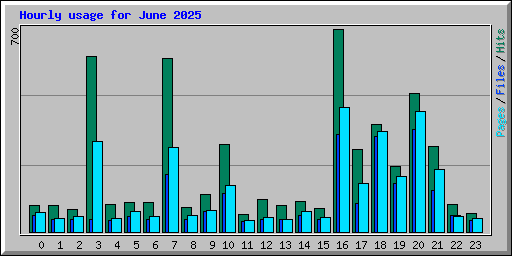 Hourly usage for June 2025
