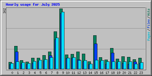 Hourly usage for July 2025