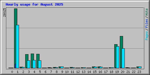 Hourly usage for August 2025