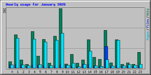 Hourly usage for January 2026