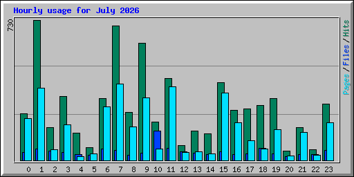 Hourly usage for July 2026
